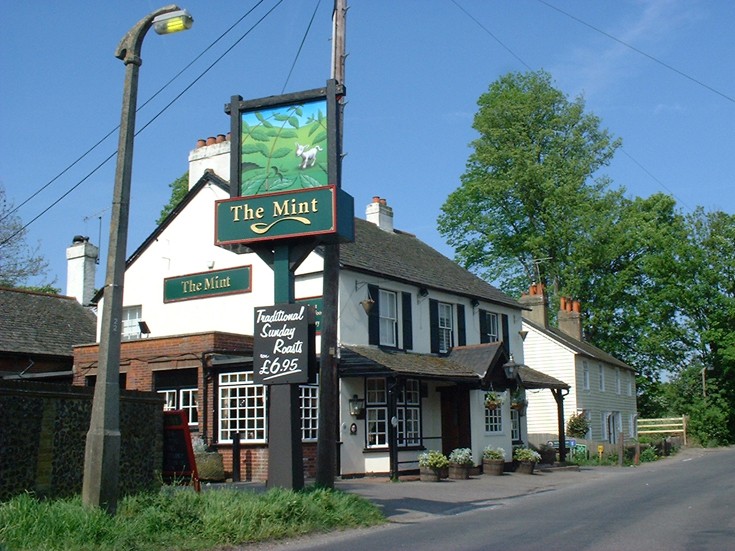 The Mint Public House in Park Road Banstead
