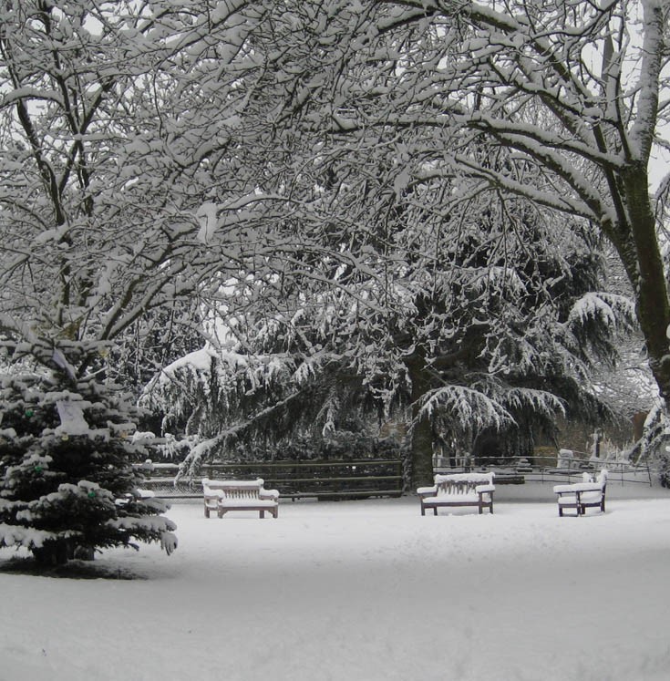 Snow in Banstead in Jan 2010 - The Church Orchard