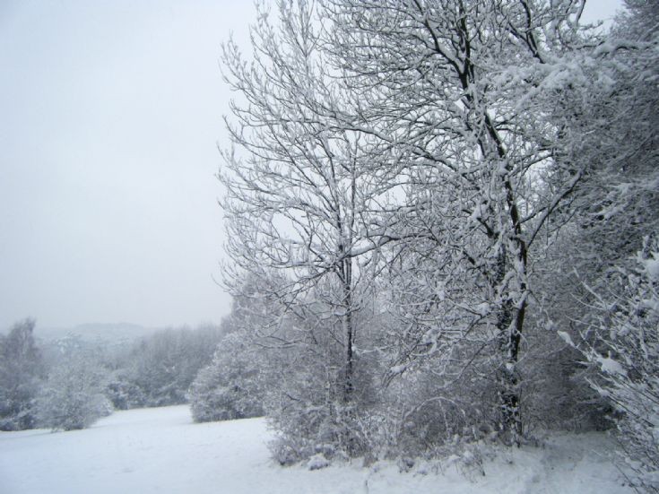 Snow in Banstead in Jan 2010 - Park Downs (2)