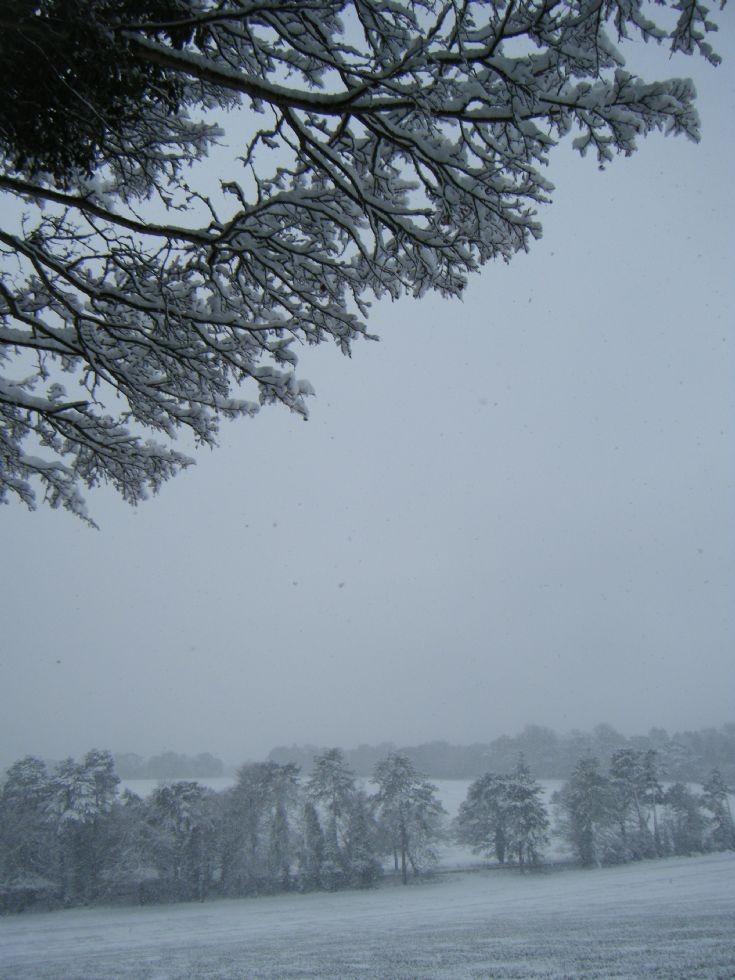 Banstead - Holly Lane Fields in the snow