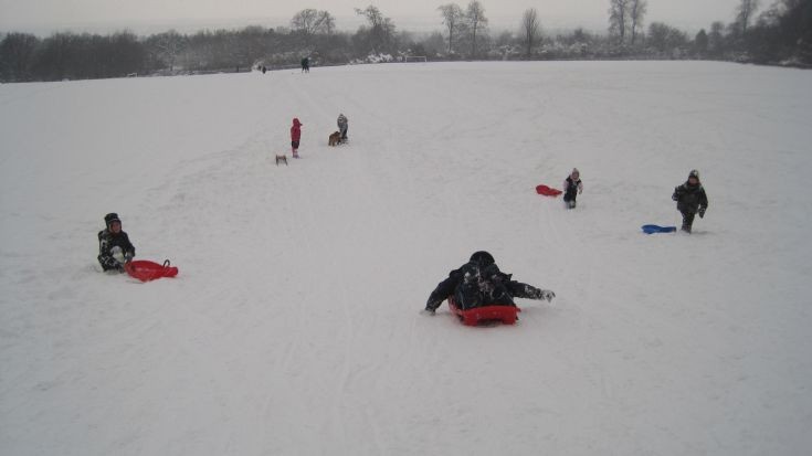 Sledging in Nork Park