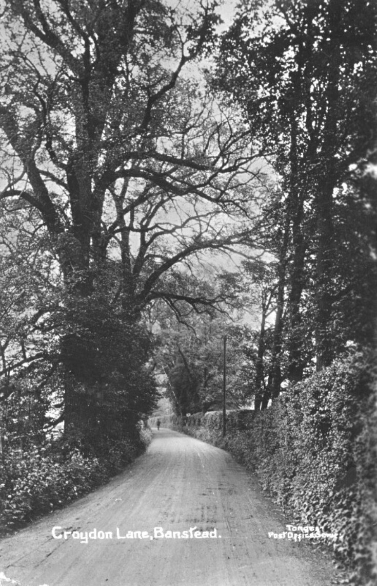 Croydon Lane