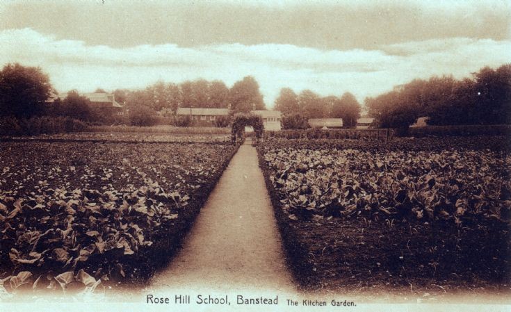 Rose Hill School, The Kitchen Garden