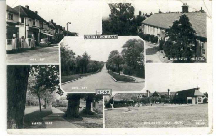 Nork multi postcard