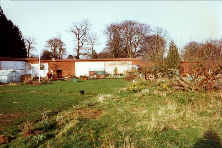 Banstead Woods - The walled garden (2)