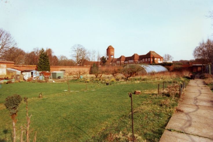 Banstead Woods - The walled garden (3)