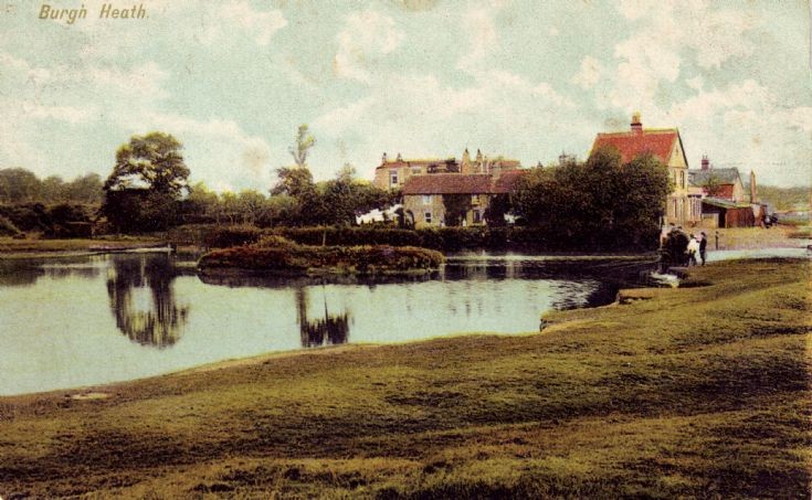 Burgh Heath pond