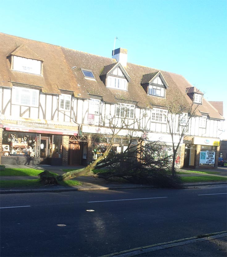 Tree down in Banstead High Street