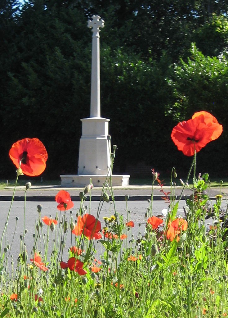 WW1 Centenary - Banstead War Memorial poppies