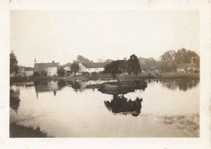 Burgh Heath pond