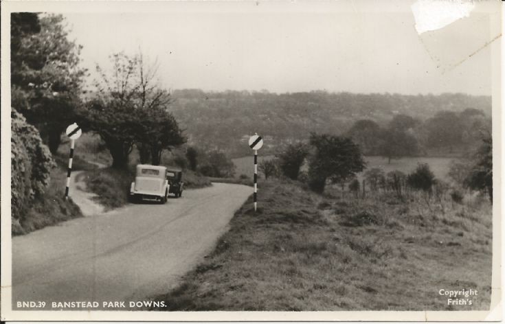Banstead Park Downs