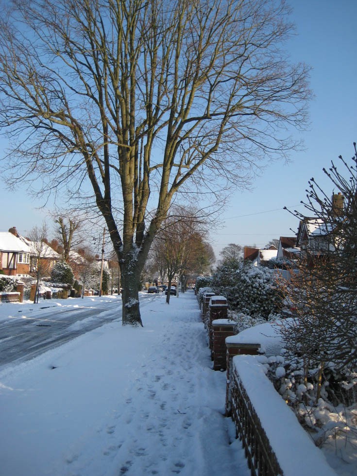 Fiddicroft Avenue Banstead Snow Dec 2009