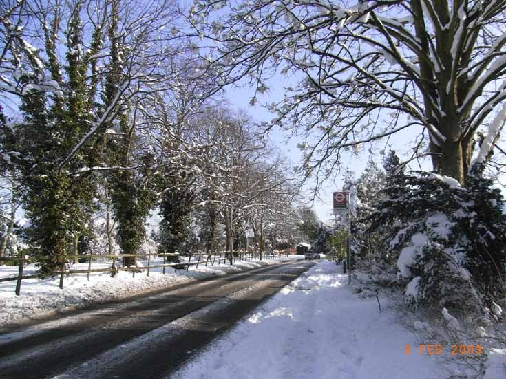Fir Tree Road, Nork, Banstead in the snow