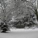 Snow in Banstead in Jan 2010 - The Church Orchard