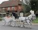 Banstead May Queen 2013