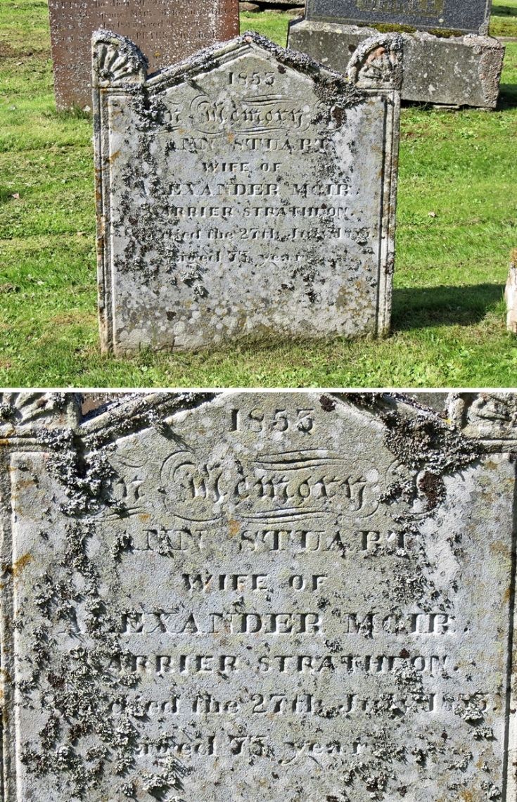 56 Grave No 64 Ann Stuart