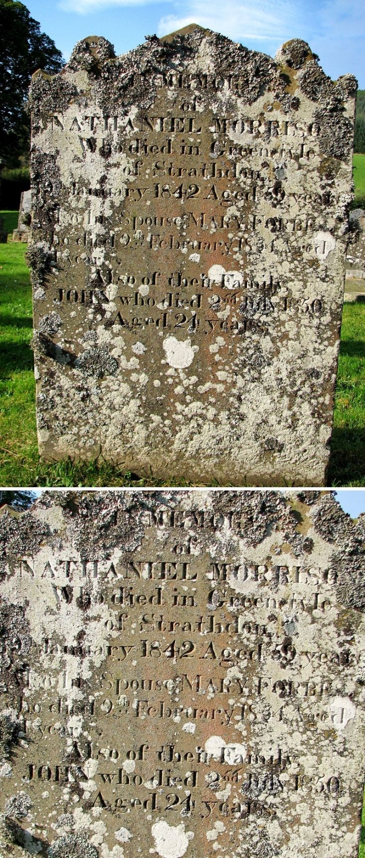 72 Grave No 98 Nathaniel Morrison