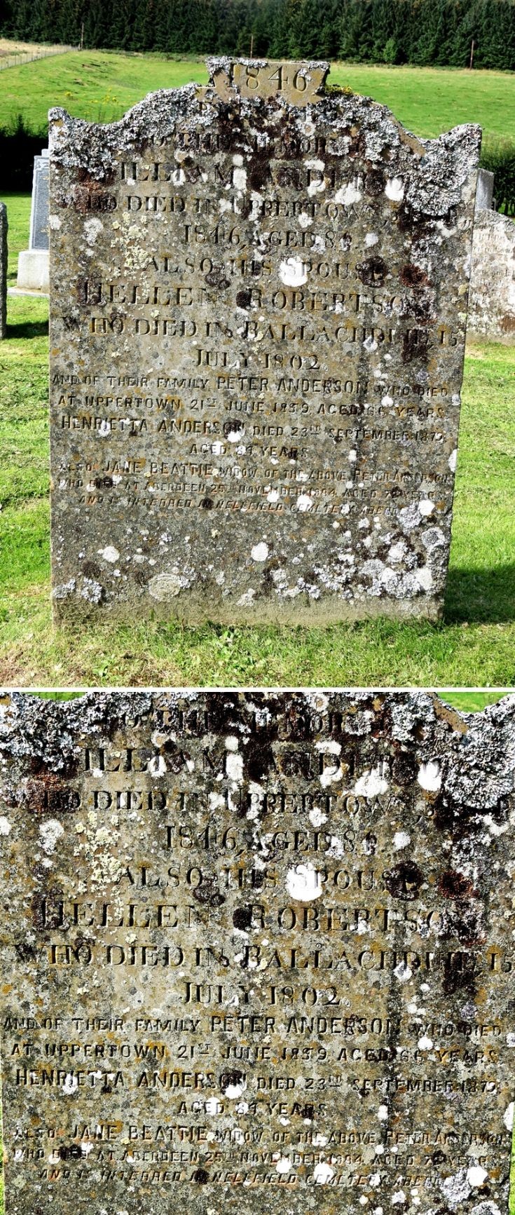 84 Grave No 120 William Anderson