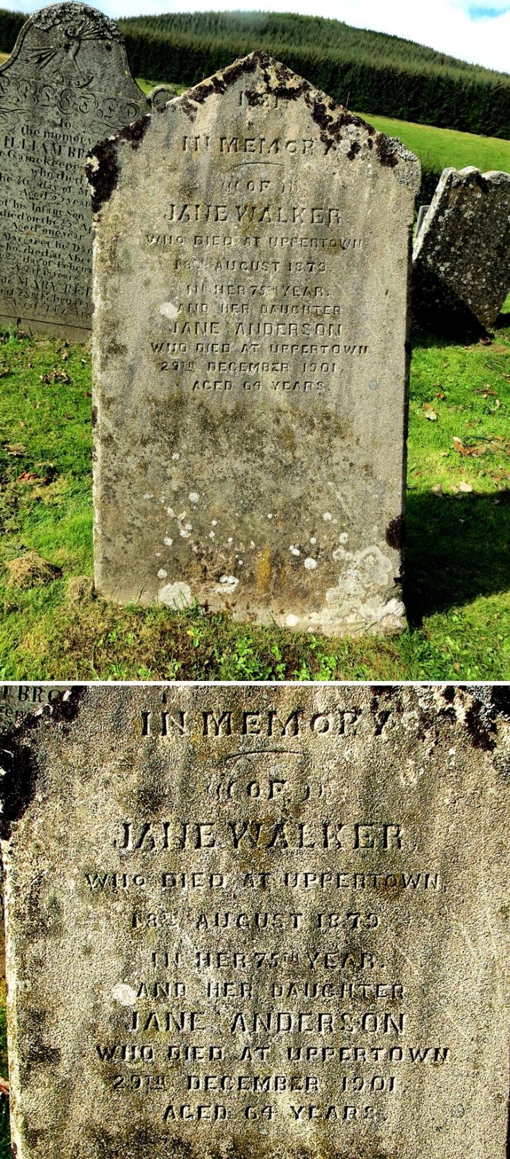 111 Grave No 148 Jane Walker