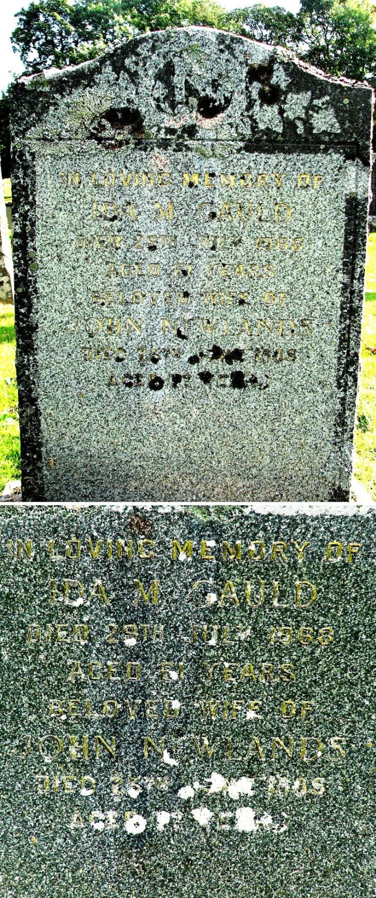 135 Grave No 172 Ida Gauld
