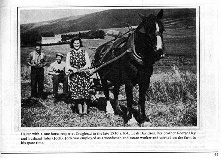 47 Hill Farming