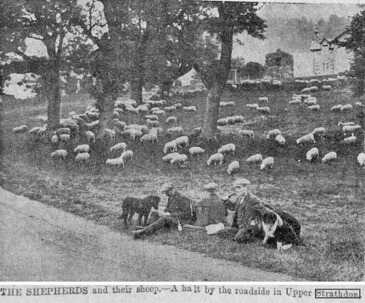 27 Shepherds at Colquhonnie