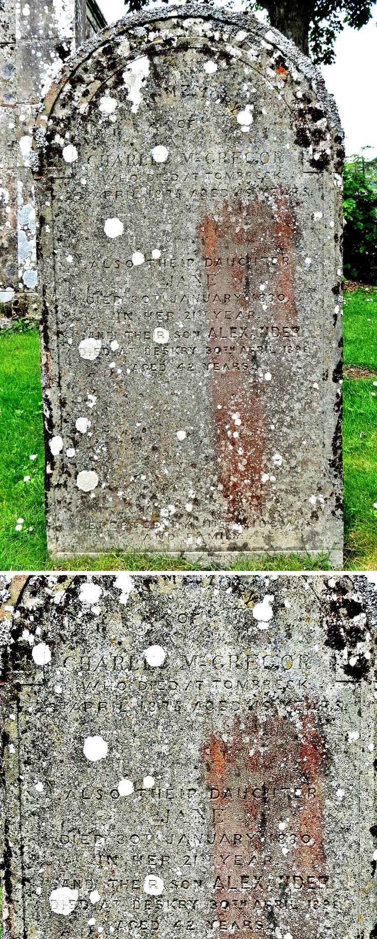 13 Charles McGregor