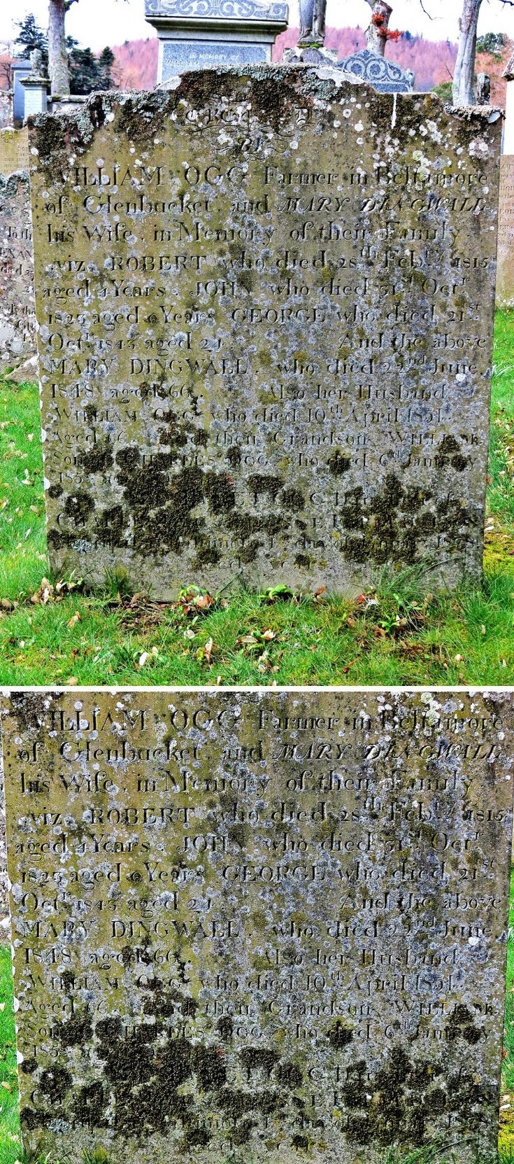 20 William Ogg