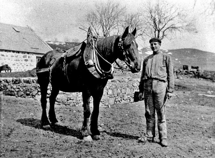 65 Man and horse at Baltimore Glenbuchat