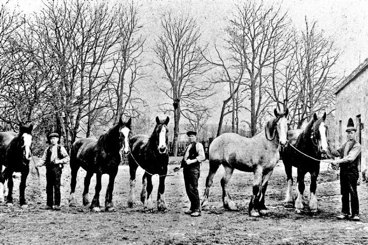 109 Horses Mains Farm Glenbuchat