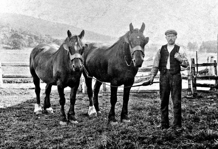 119 Horses and Horseman Glenbuchat
