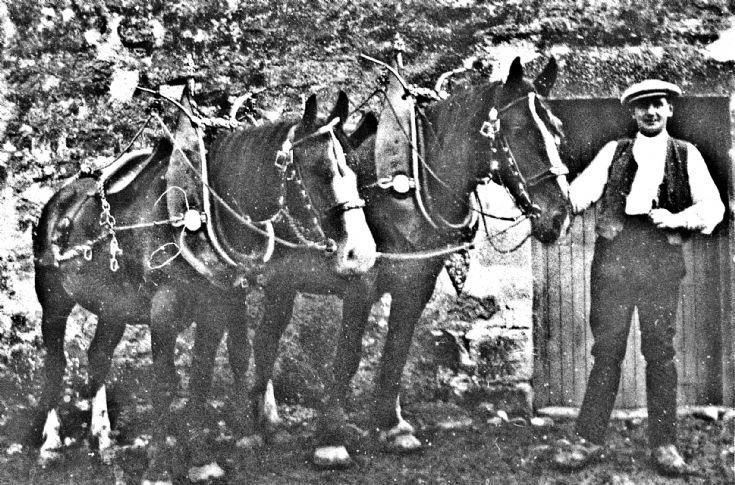 135Horses and Horseman -Source unknown