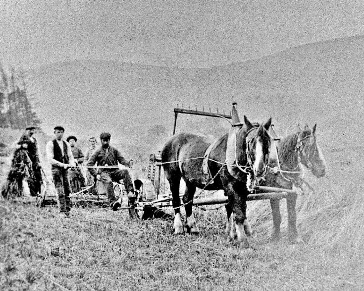 155 Reaping at Glenbuchat