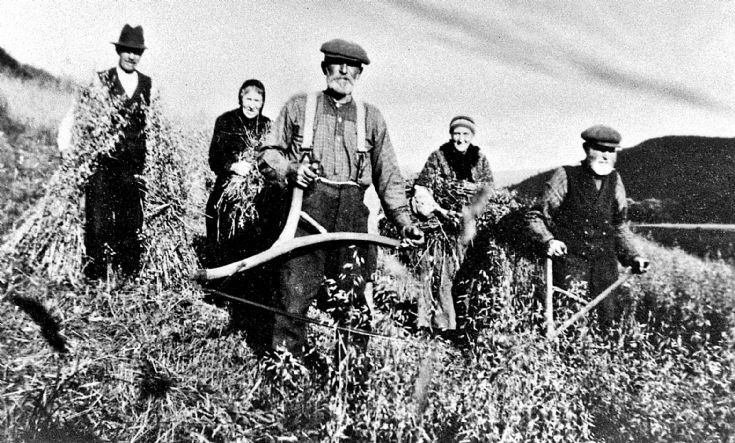 156 Harvest at Glenbuchat