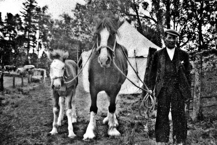21 Horses and Horseman at ?Fair