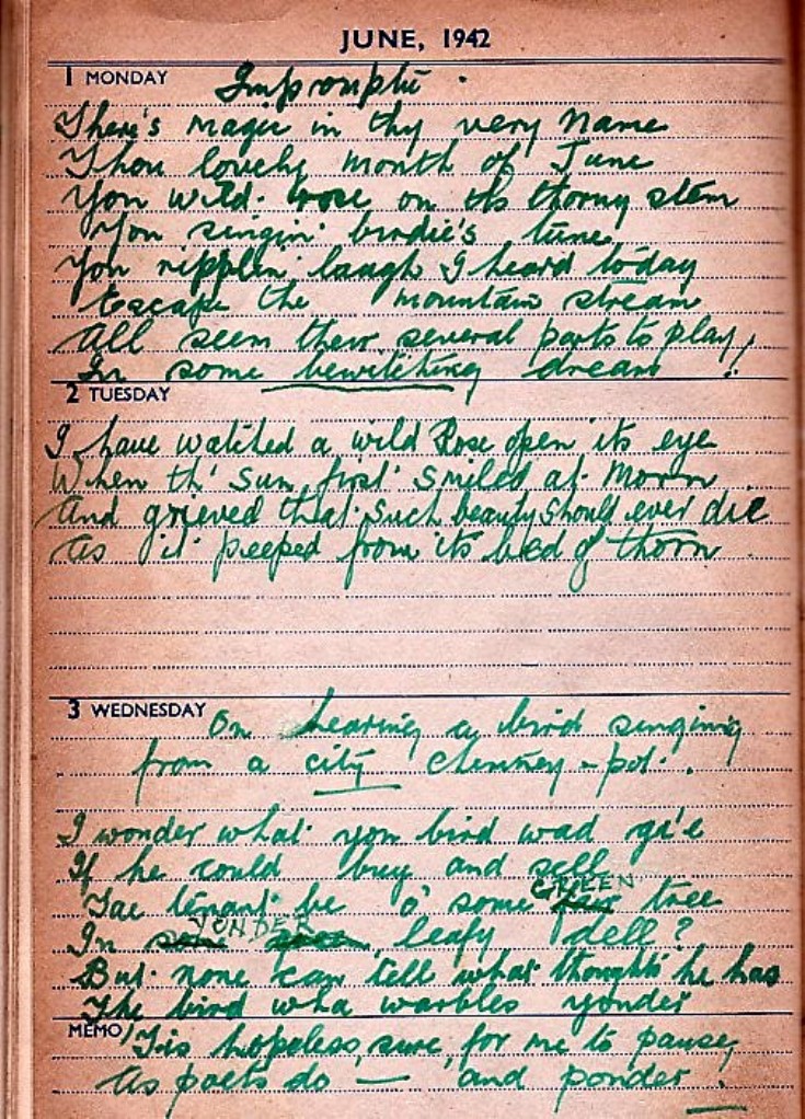 31