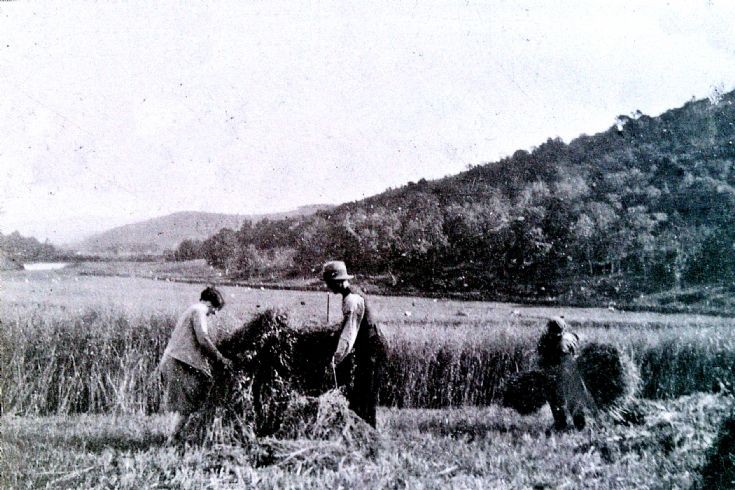 47 Harvest Bridge of Buchat