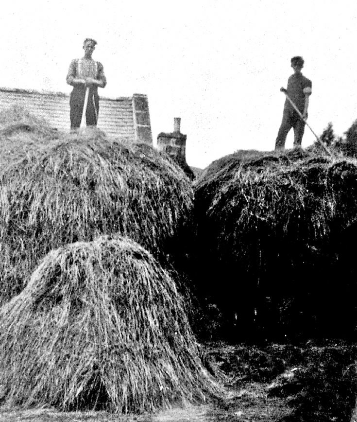 89 Building hay stacks, Glenbuchat. 