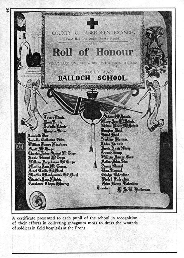 54 Balloch School Roll of Honour 