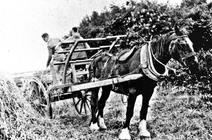 112 Hay cart at ?Craighead Glenbuchat