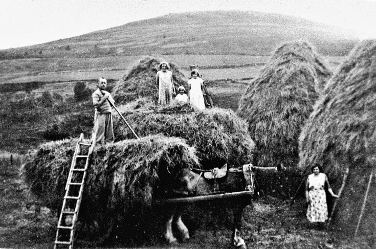 119 Haymaking Glenbuchat