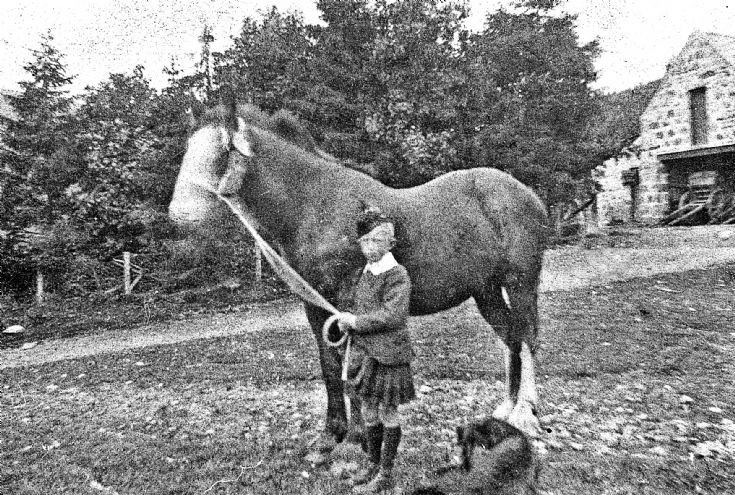 122  Boy with Horse Glenbuchat
