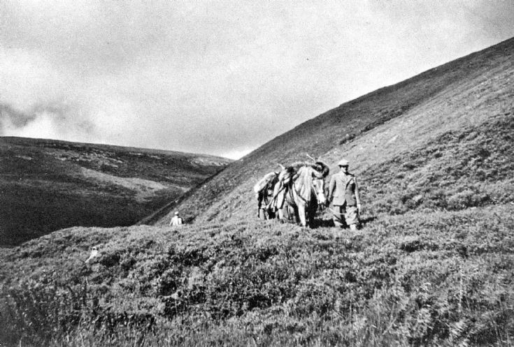 128 Stalking Glenbuchat