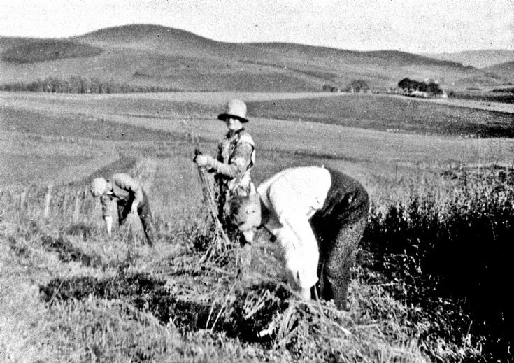 141 Harvest at Craighead Glenbuchat