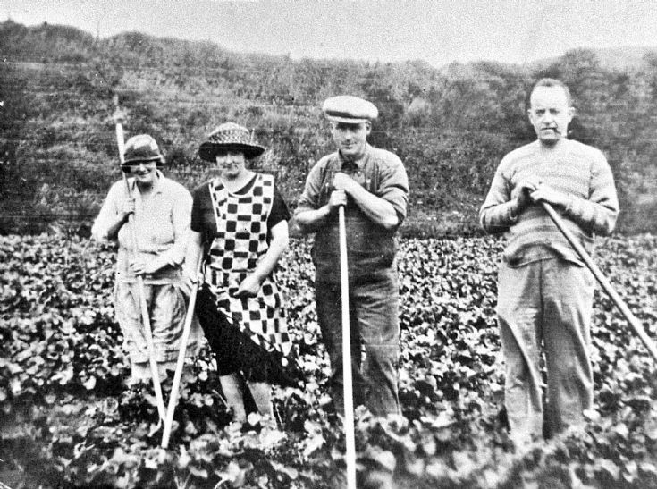 154 Visitirs at Baltimore Farm Glenbuchat