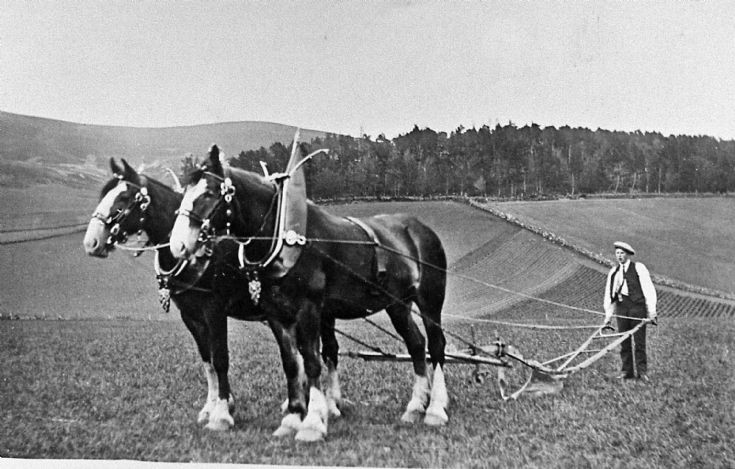 155 Ploughing Team Baltimore Farm Glenbuchat