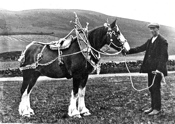 156 Horse and horseman Baltimore Farm Glenbuchat