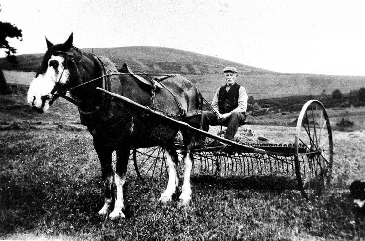 158 Mr Stewart Blackhillock, Glenbuchat