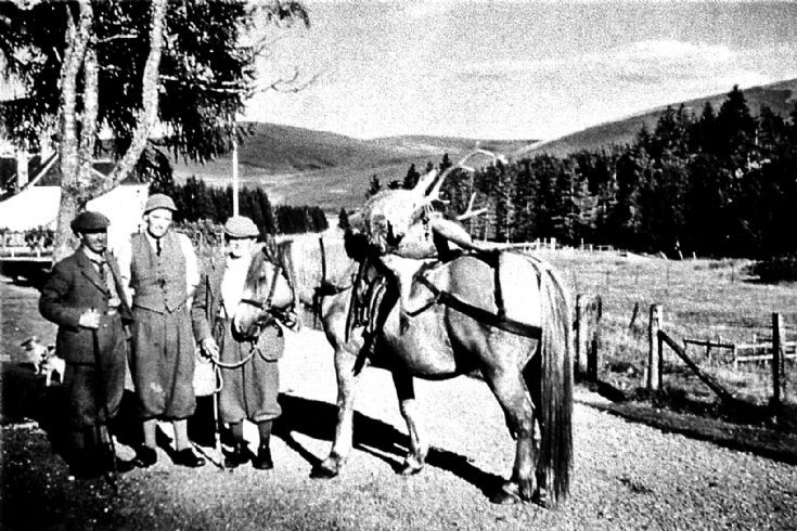 179 Stalkers Glenbuchat