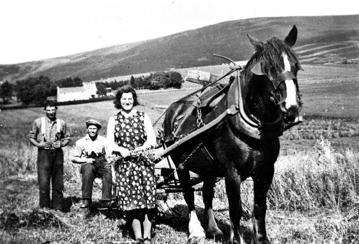 191 Jock Davidson, George Hay and Leah Davidson.